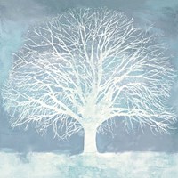 Aqua Oak Fine Art Print