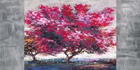 Albero in Fiore Fine Art Print