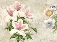 Botanique Moderne II Fine Art Print