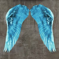 Angel Wings V Framed Print