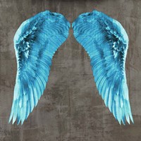 Angel Wings V Fine Art Print