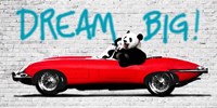 Dream Big! Fine Art Print