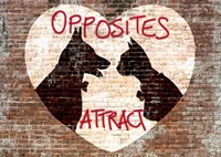 Opposites attract Fine Art Print