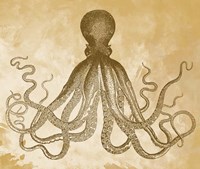 Golden Octopus Fine Art Print