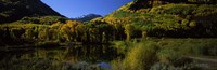 Fall Colors Reflected in Water with Mountains in the Background, Colorado Fine Art Print