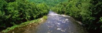 River Passing through a Forest, Pigeon River, Cherokee National Forest, Tennessee Fine Art Print