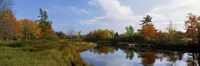 Lake in a forest, Mount Desert Island, Hancock County, Maine Fine Art Print