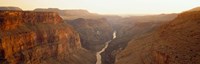 River passing through Toroweap Point, Grand Canyon National Park, Arizona Fine Art Print