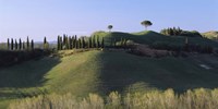 Trees on Rolling Green Hills, Tuscany, Italy Fine Art Print