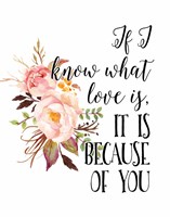 If I Know What Love Is Fine Art Print