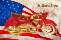 Born Free Fine Art Print