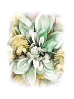 Azure Star Fine Art Print