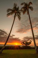 Sunset Palms II Fine Art Print