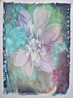 Midnight Mystery II Fine Art Print