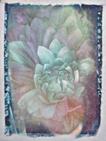 Midnight Mystery III Framed Print