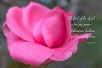 Fruit of the Spirit Fine Art Print