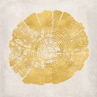 Tree Stump Golden I Framed Print