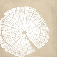 Tree Stump White Reverse Fine Art Print