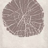 Tree Stump Taupe Reverse Fine Art Print