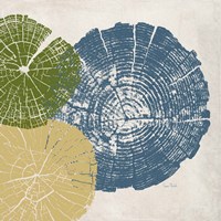 Three Tree Ring II Fine Art Print