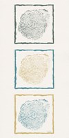 Stump Triptych II Fine Art Print