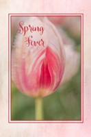 Spring Fever Framed Print