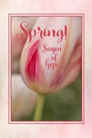 Spring Season of Hope Fine Art Print