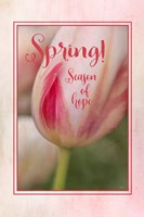 Spring Season of Hope Framed Print