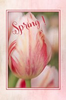 Spring! Fine Art Print