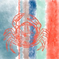 Crab Stripes Fine Art Print