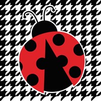 Ladybug IV Fine Art Print