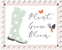 Garden III Fine Art Print