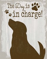 The Dog is in Charge Fine Art Print