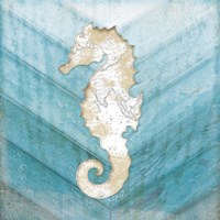 Coastal Seahorse Fine Art Print