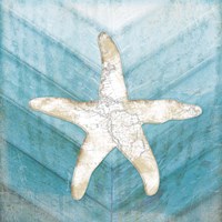 Coastal Starfish Framed Print