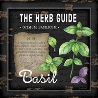 Herb Guide Basil Fine Art Print