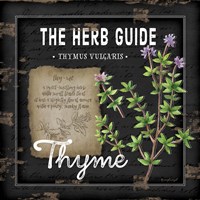 Herb Guide Thyme Fine Art Print