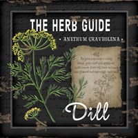 Herb Guide Dill Fine Art Print