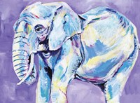 Elephant II Fine Art Print