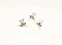 3 Bees on White Fine Art Print