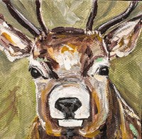 Deer Fine Art Print