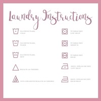 Laundry Instructions Fine Art Print