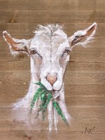 Goat Fine Art Print