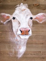 White Cow Fine Art Print