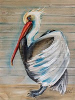 Pelican Framed Print