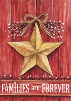Gold Barn Star Families Are Forever Fine Art Print