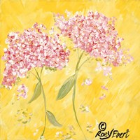 Pink Hydrangeas Fine Art Print