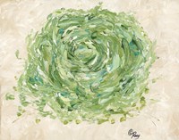 Succulent No. 2 Fine Art Print