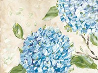 Blue Hydrangeas II Fine Art Print