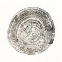 Counting the Years II Framed Print